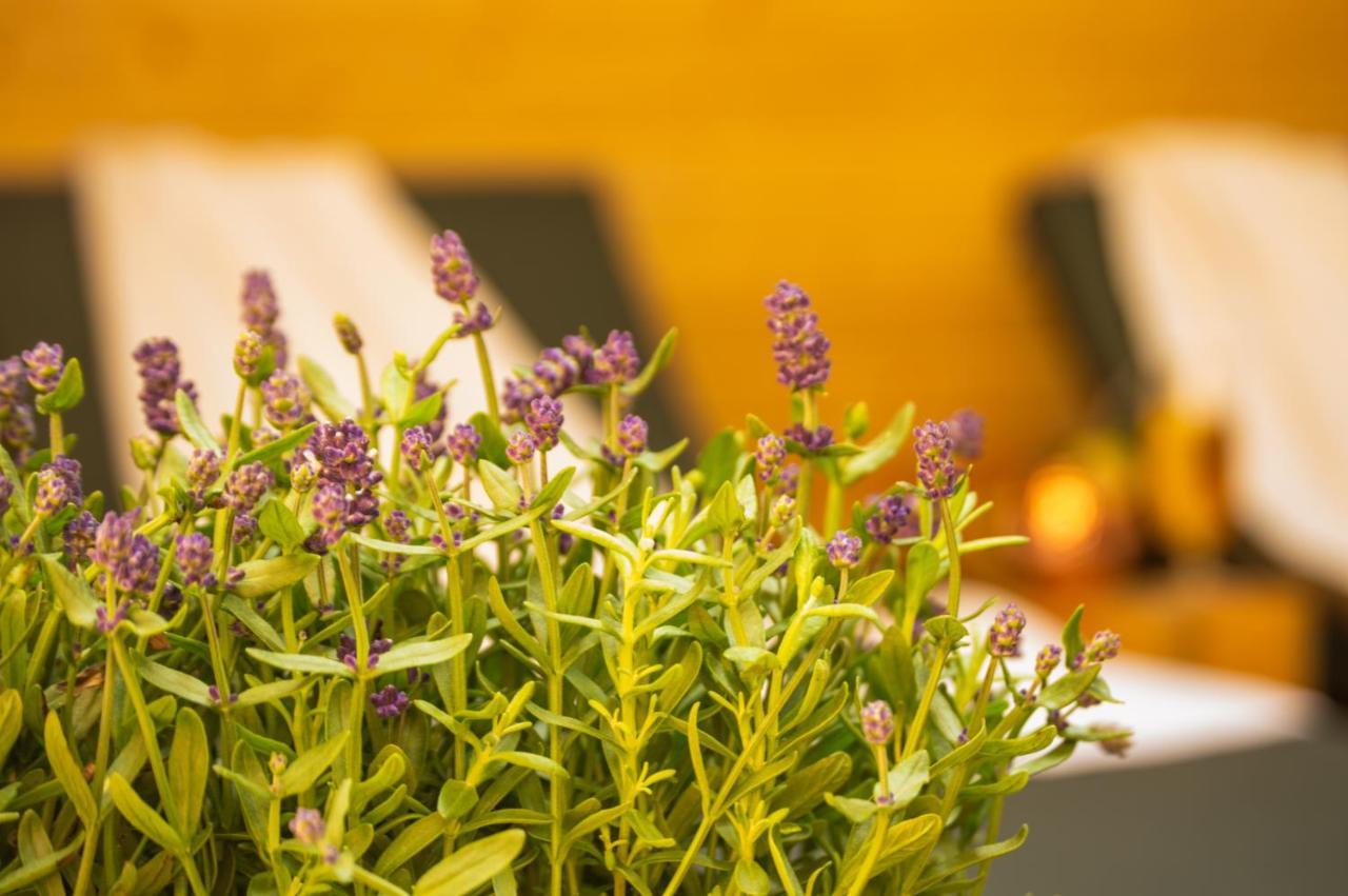 Wellness Mitten In Der Wasserfallstadt Triberg Triberg im Schwarzwald Εξωτερικό φωτογραφία